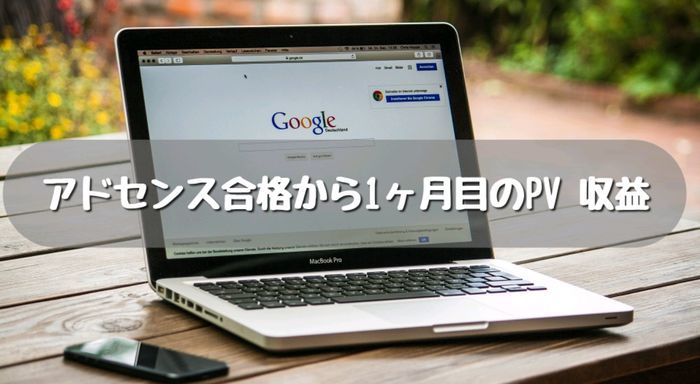 ブログ1ヶ月目のPVと収益