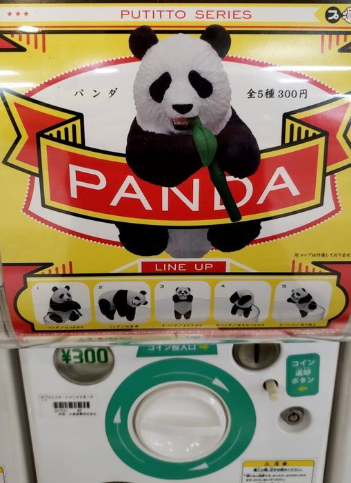 パンダのガチャガチャ