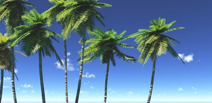 夏に熱中症になるイメージ写真