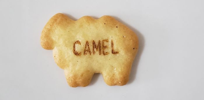 CAMEL