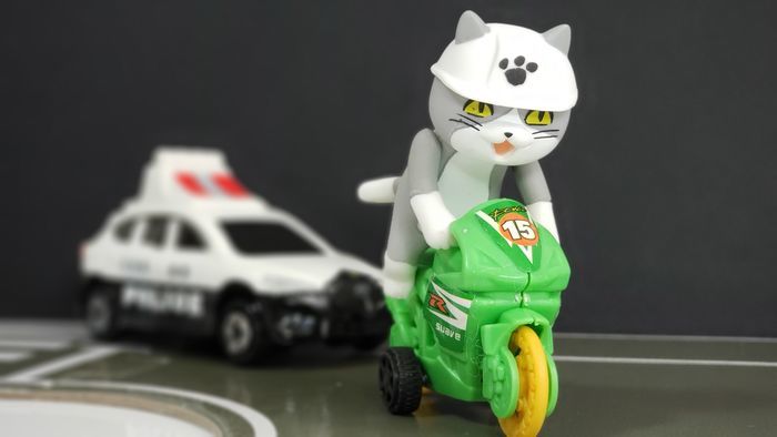 バイクに乗った仕事猫